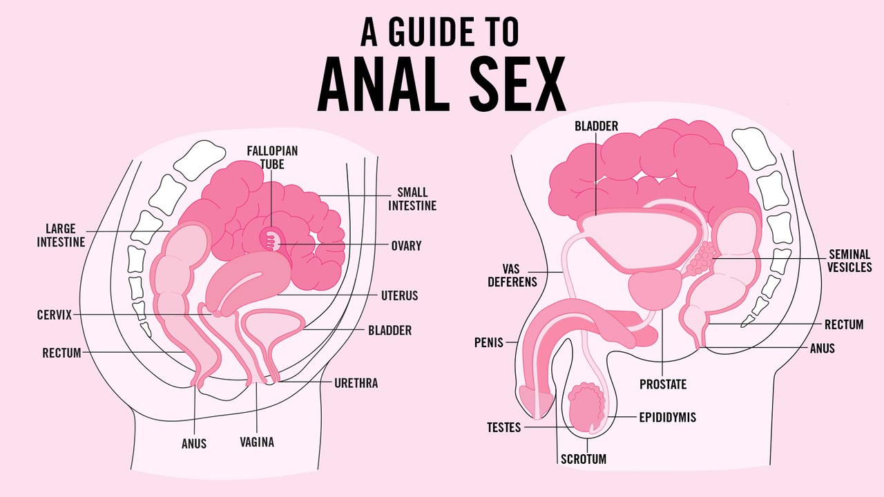 A Guide To Anal Sex….Are You Doing It Right? – Wehump.org